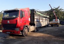 Vận chuyển gạch dẫn đường T350 và gạch vân giả đá T450 đi Huế